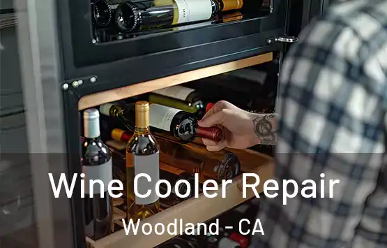  Wine Cooler Repair Woodland - CA